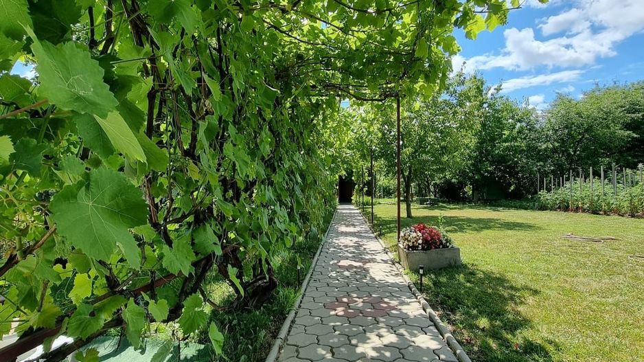 CASA+TEREN, ZONA SUD - Poză 15