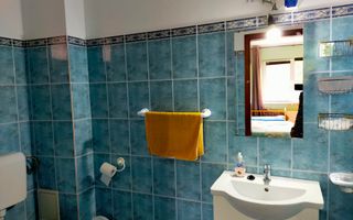 Casa cu 3 apartamente în Dumbravita aproape de pădure - Poză 17