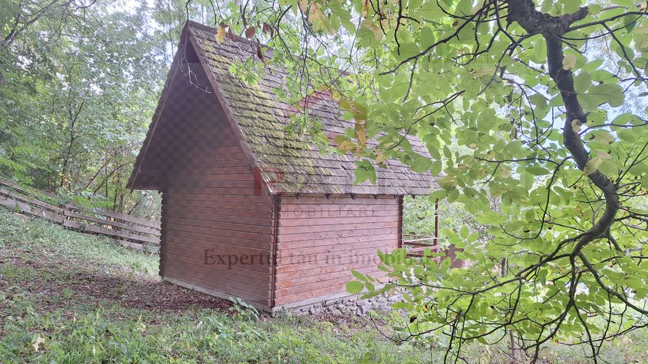 VANZARE ANSAMBLU CASUTE BRADULET ARGES - Poză 9