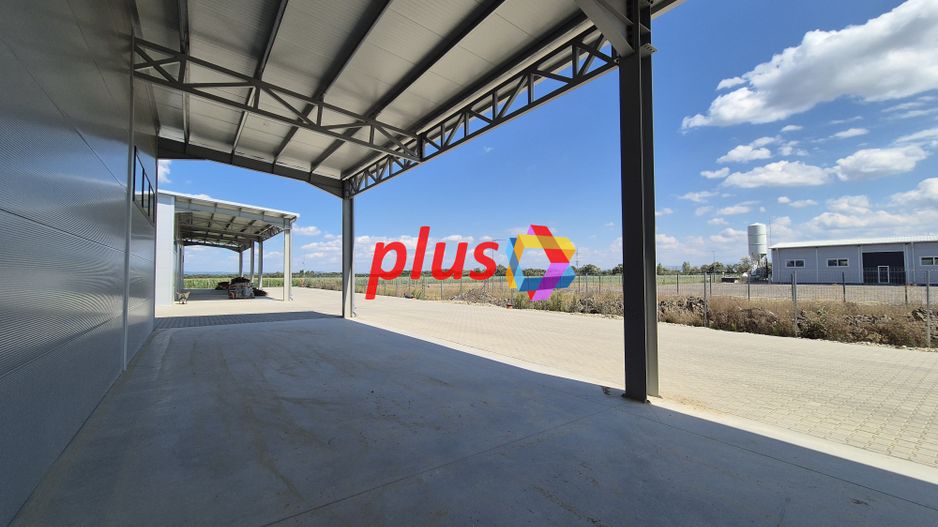 Hala - 700 mp  # plus-imo.ro - Poză 14