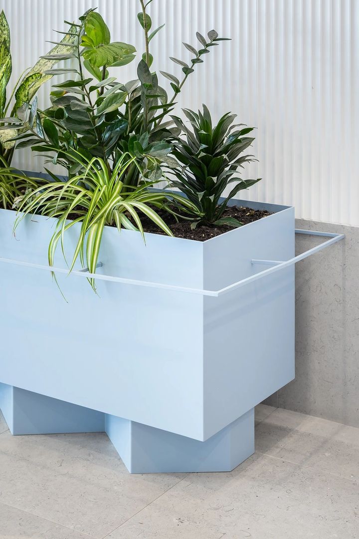 Prima Vista - Poză 15