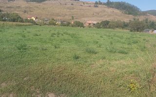 De vanzare teren cu autorizatie constructie hala - Poză 2