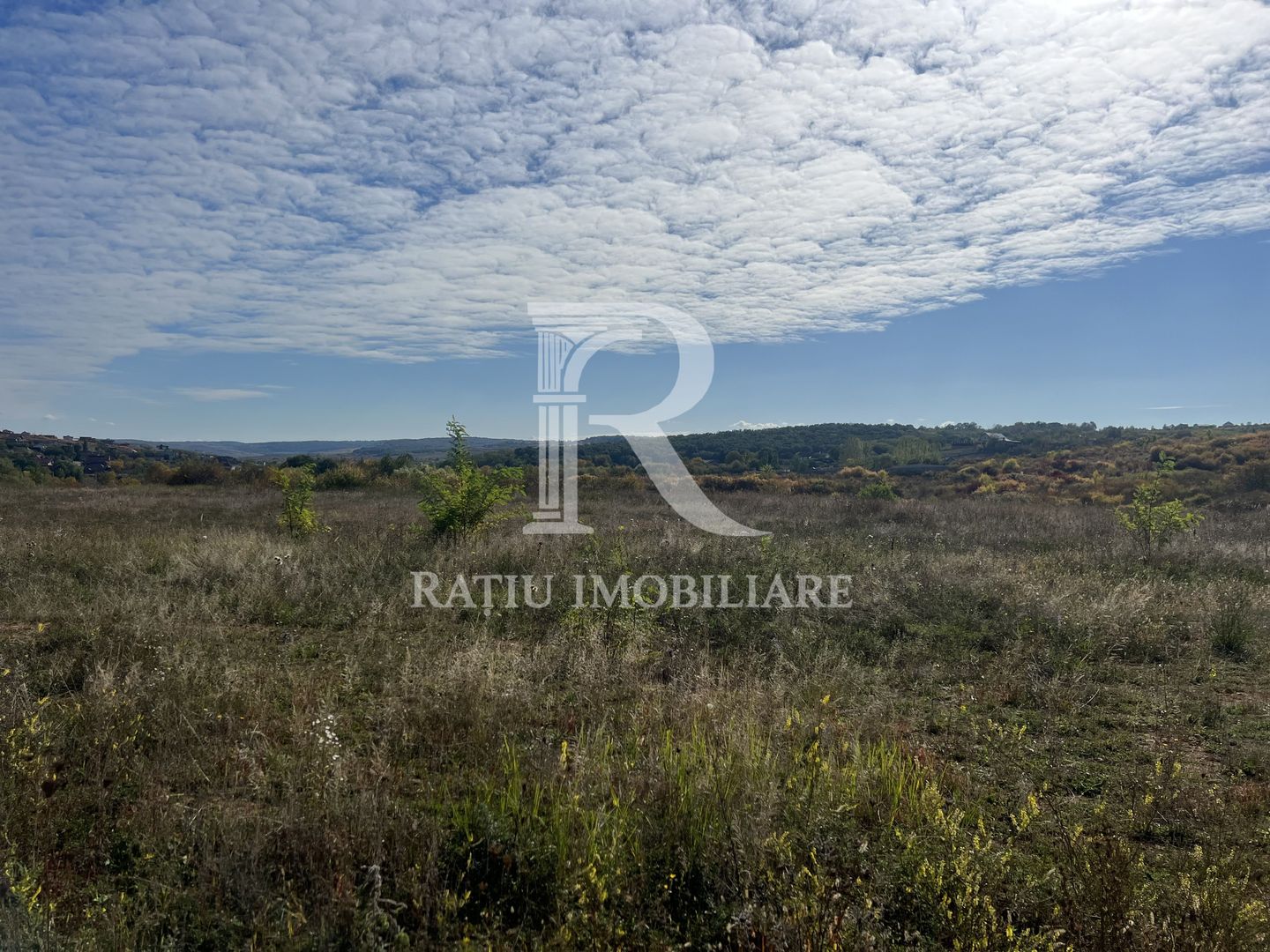 Teren intravilan 3961 MP | Paleu | Bihor - Poză 5