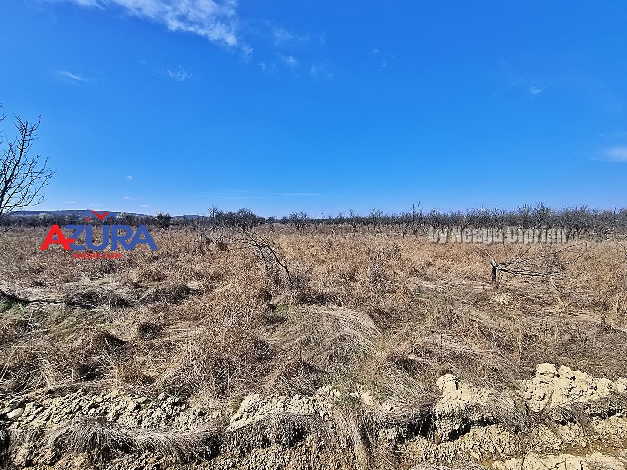 AZURA IMobiliare - Teren Iefin Bascov 3km de Giratoriu - Poză 7