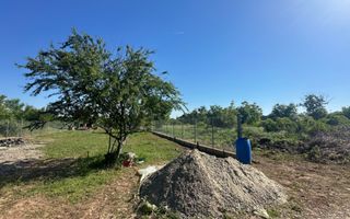 OPORTUNITATE | TEREN | SNAGOV TANCABESTI | CASA | 1000 MP | INVESTITIE - Poză 3