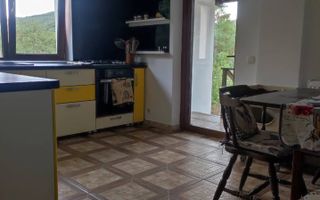 Casa de vanzare Budesti | Golesti| 380mp - Poză 4