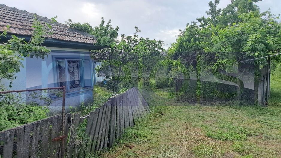 VANZARE CASA | TEREN 2500 MP | LIVADA SI VIE | SAT BREBINA – SCRIOASTEA - Poză 5