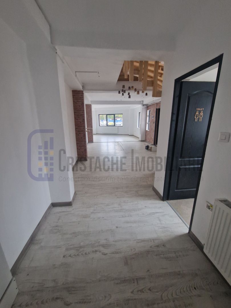 Vila Ds+P+1 (open space)_230 mp_renovat 2024_Buzești (P-ța Victoriei) - Poză 14