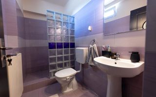 Casa de vanzare cu 2000mp de teren in Ciugud - Poză 7