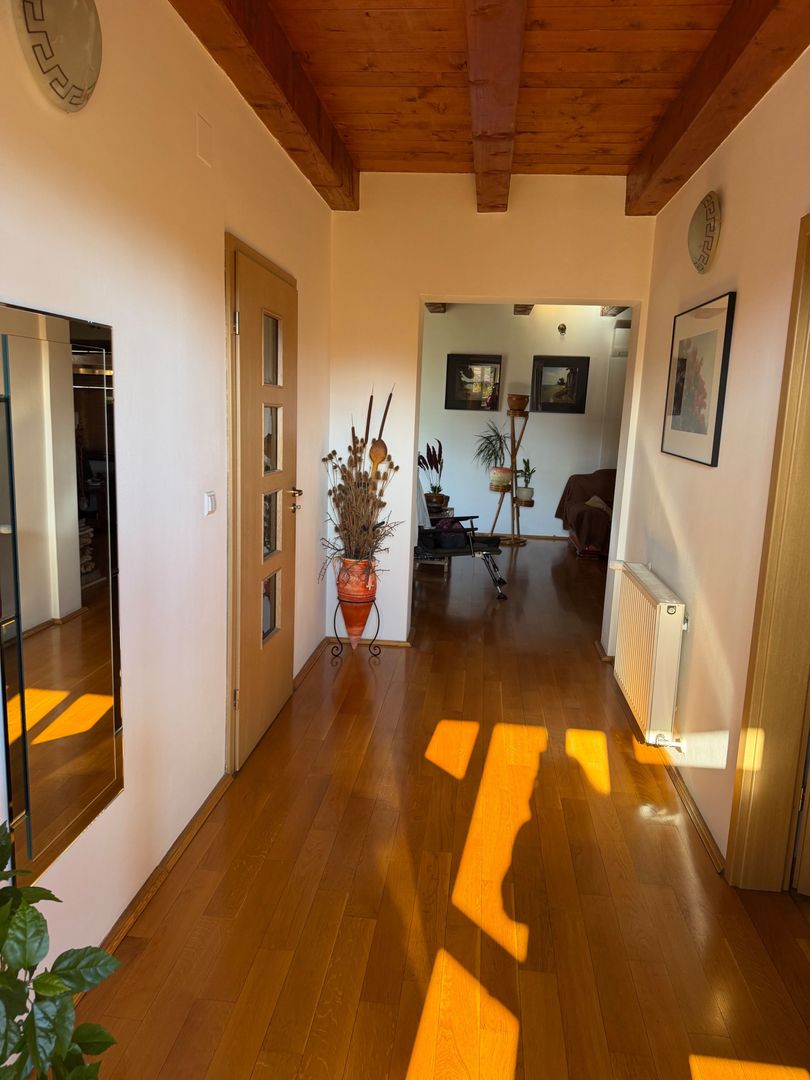 Casa individuala Dumbrăvița - Poză 12