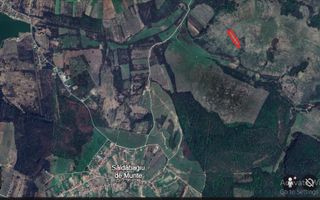Teren 8300 mp Extravilan Uileacu de Munte - Poză 3