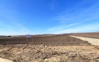 Vanzare I Teren I Suceava/Stroiesti I 100 ARI 2999 Euro/Ar - Poză 6