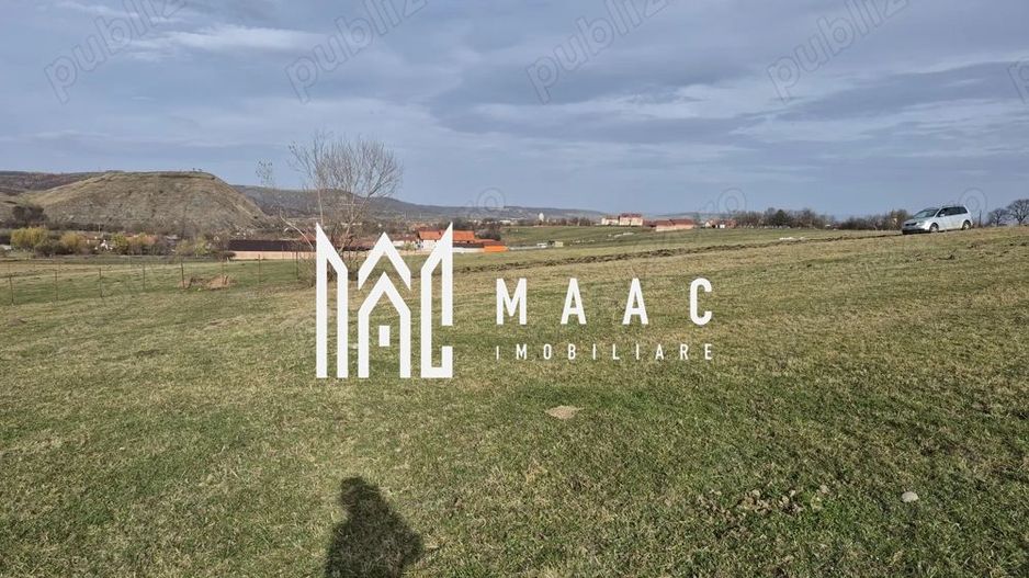 Teren extravilan | Investitie | Orlat - Poză 3