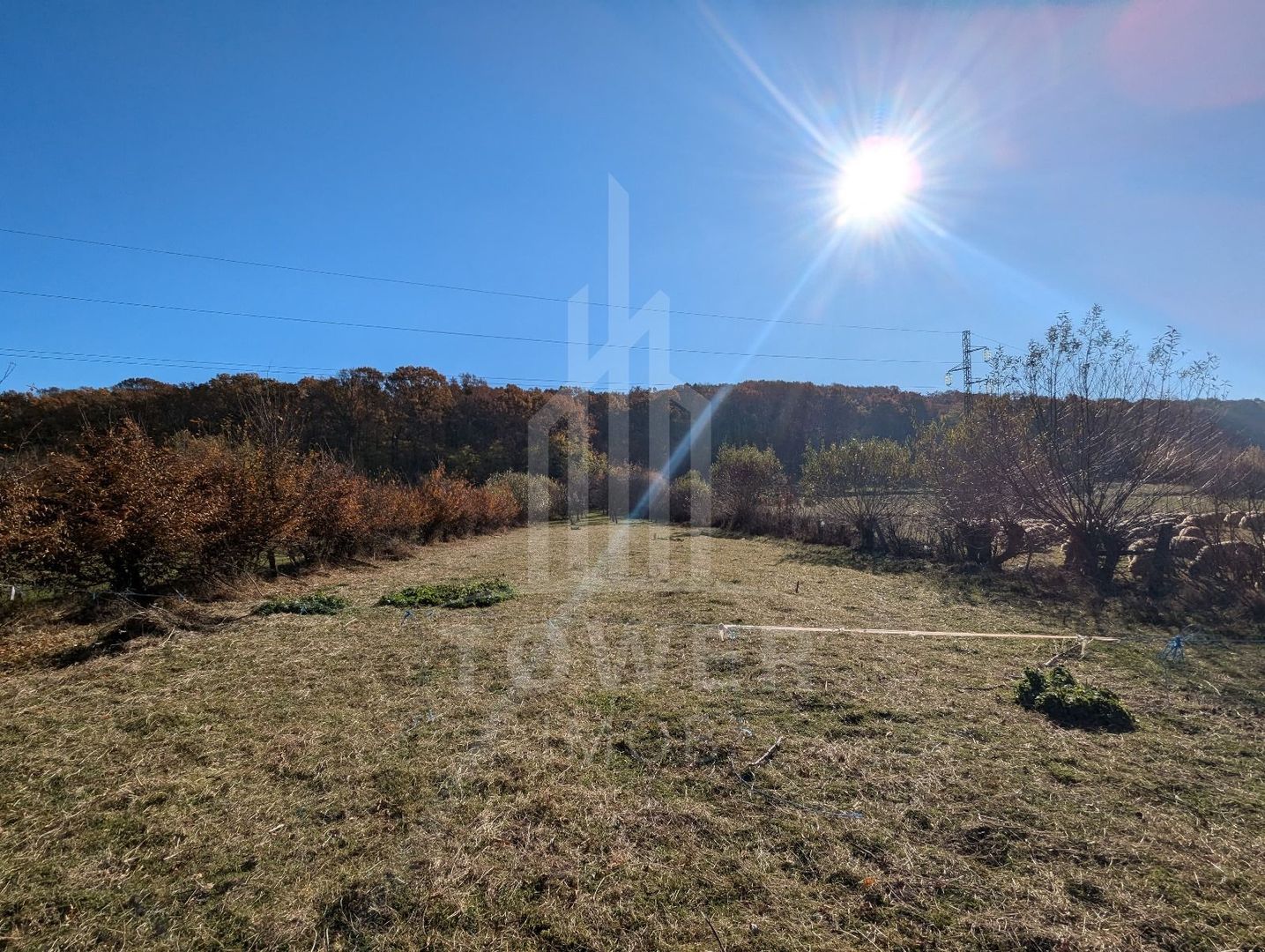 Teren extravilan in Tropinii Noi (Rasinari)-2592 mp - Poză 2