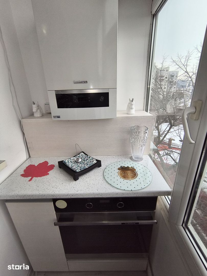 Apartament Ion Mihalache // Domenii - Poză 8