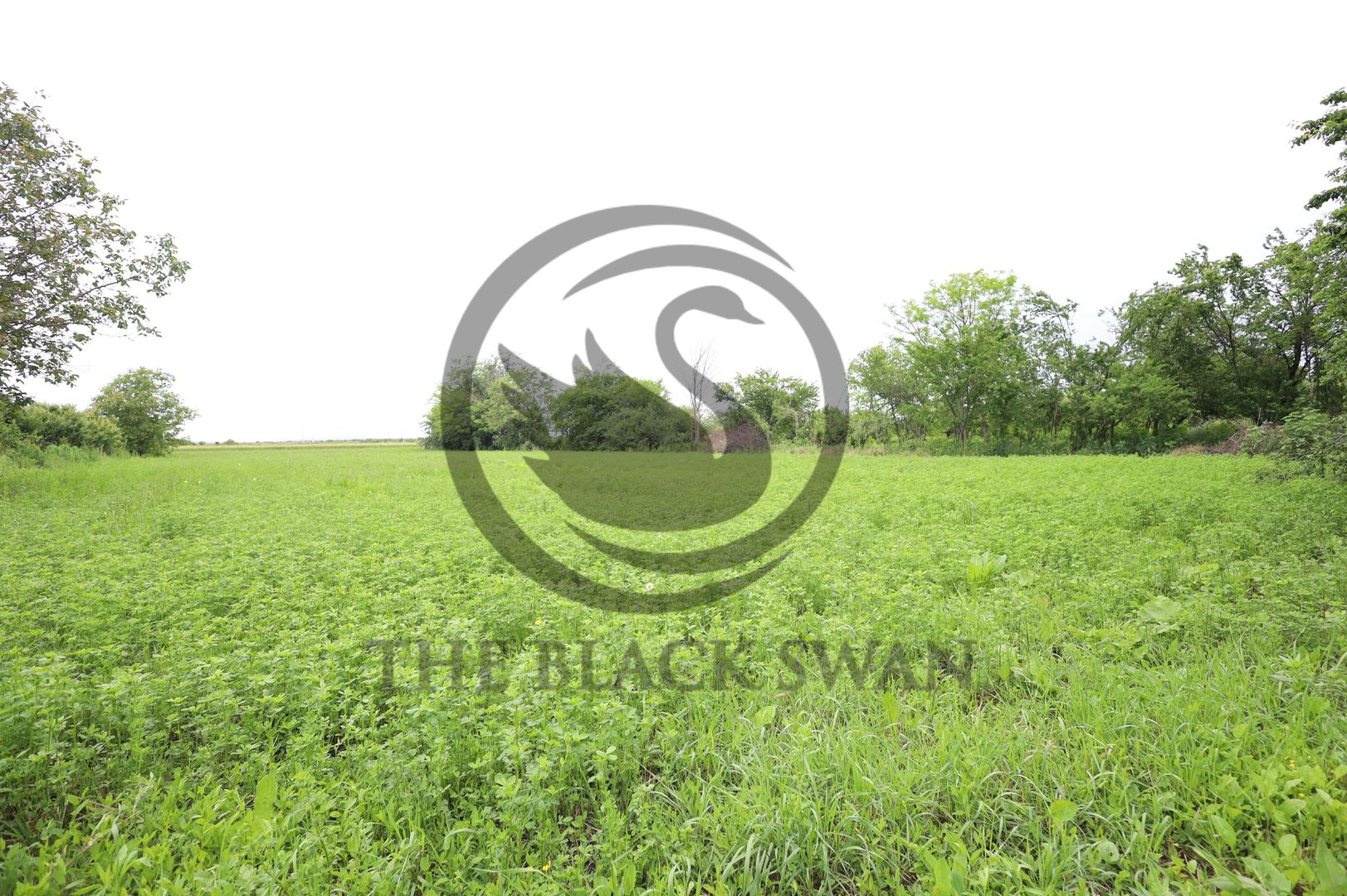 Teren + casa de vanzare | 4734 mp, deschidere 38ml| Zalhanaua, Prahova - Poză 9