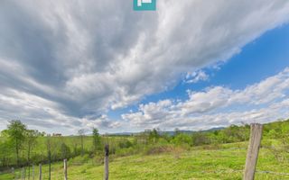 Casă cu teren de 17.681 mp, în loc. Hălmăgel, Arad - Poză 18
