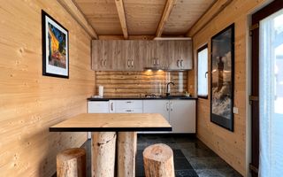 Apartament 1 camera in regim hotelier, Casa TIMIS - Poză 3