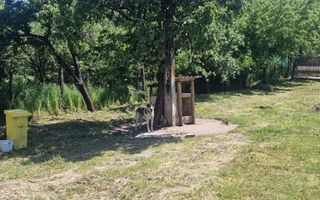  Proprietate în Comuna Botești, Județul Argeș – Zonă Pitorească și Liniștită ! - Poză 20