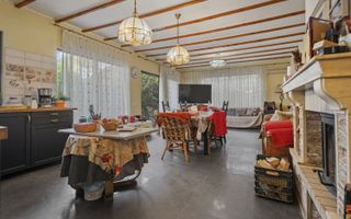 Comision 0% 2 case Vila + Spatiu Comercial + Curte Proprie - Poză 3