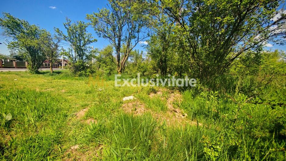 Teren central 2000 mp intravilan Mioveni - Poză 4