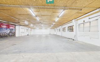 Hală industrială 300mp - Ineu, Arad - Poză 1