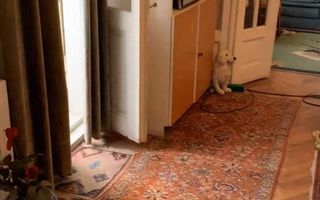 VANZARE CASA D+P+1+M | ZONA CALEA CALARASILOR - Poză 8