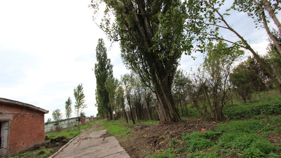 Vanzare hale Mosnita Noua-fosta Ferma 7 - Poză 30