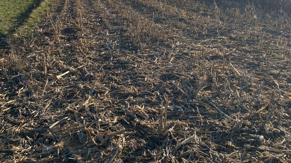 Teren Frătăuții Vechi | 14 Ari | 25.000 EUR - Poză 2