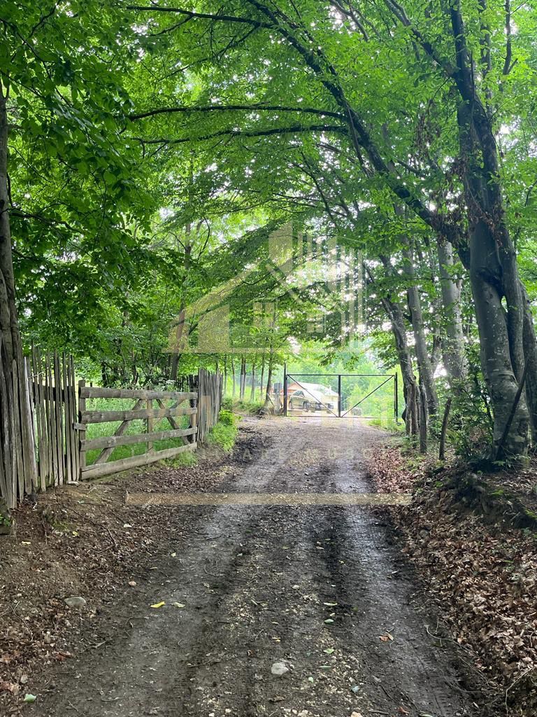 CASA 3 CAMERE, TEREN 3100 MP, ALBESTI DE MUSCEL, ARGES - Poză 17