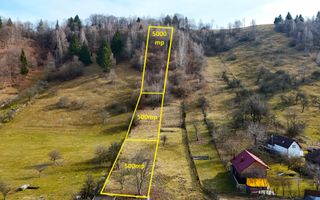 Teren intravilan in Moeciu de jos – Vedere panoramică Piatra Craiului - Poză 2