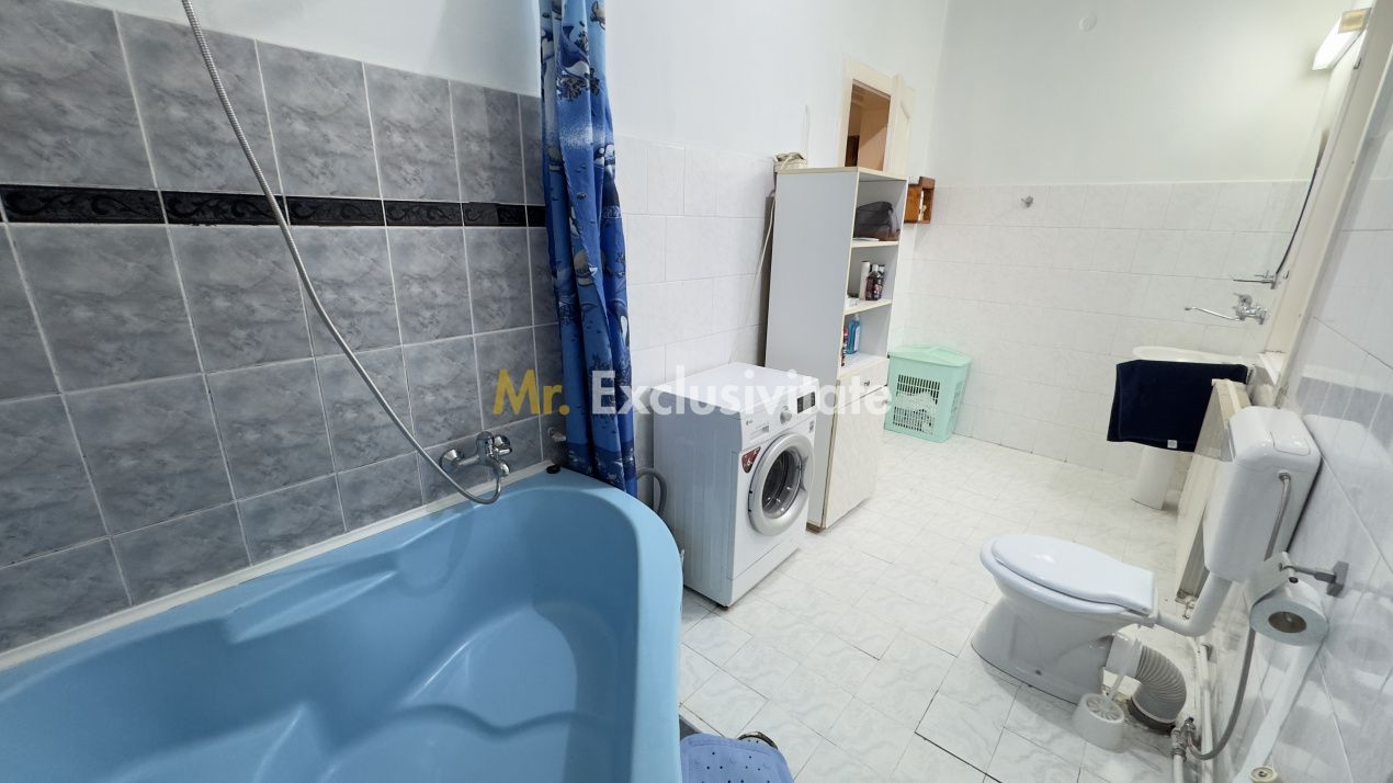 Casă 7 camere cu Teren 4.620 mp | Potențial pentru rezidență sau afacere | Carei - Poză 10