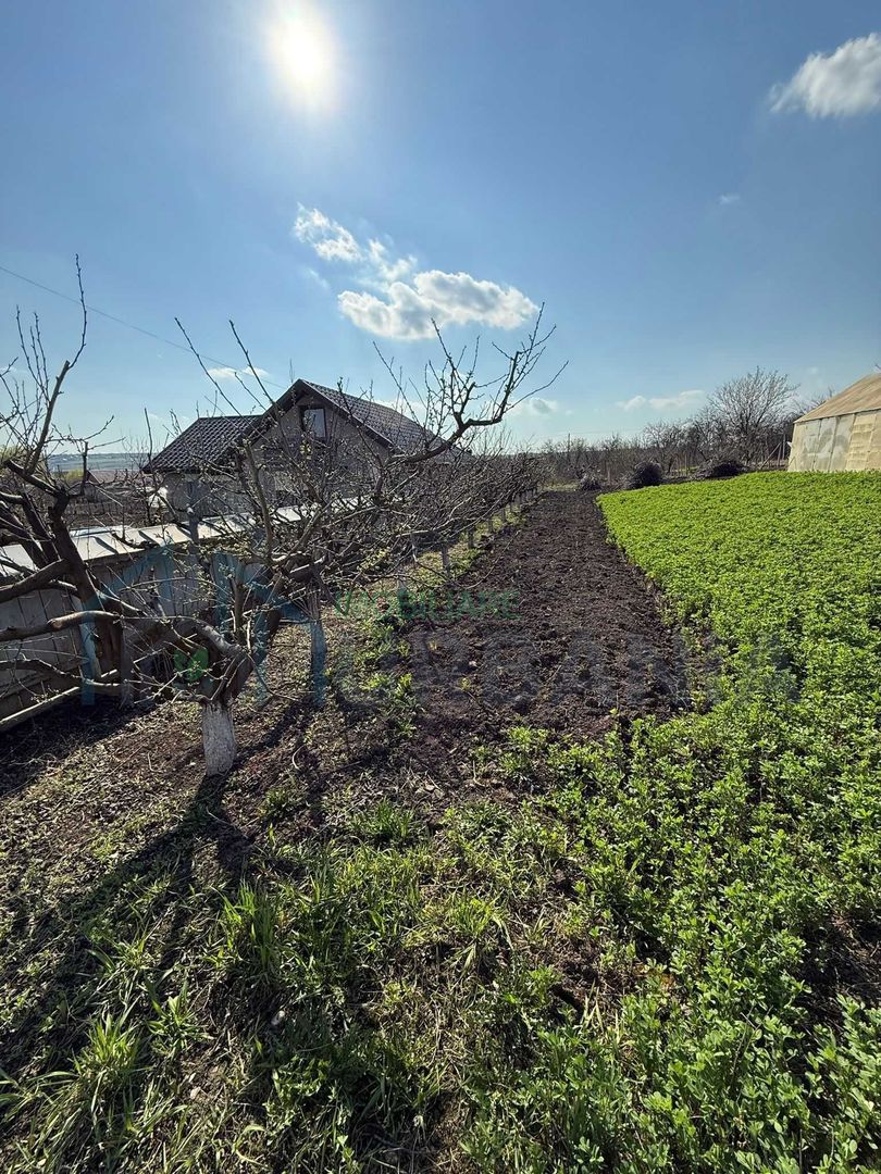 Teren de vânzare cu seră și vie în com. Belcești, jud. Iași - Poză 1