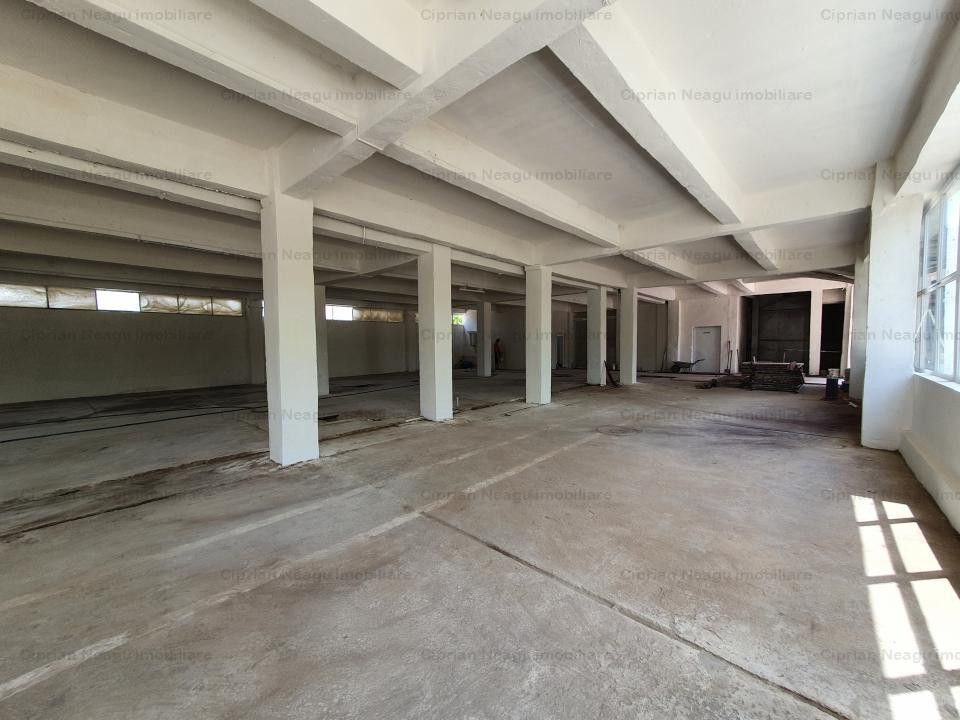 Hala Depozitare de Inchiriat Pitesti - Poză 6