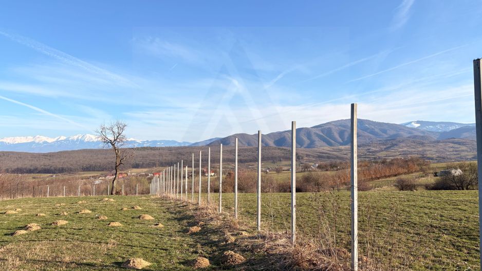 Teren intravilan 809 mp de vânzare – Tropinii Noi-Sibiu - Poză 3