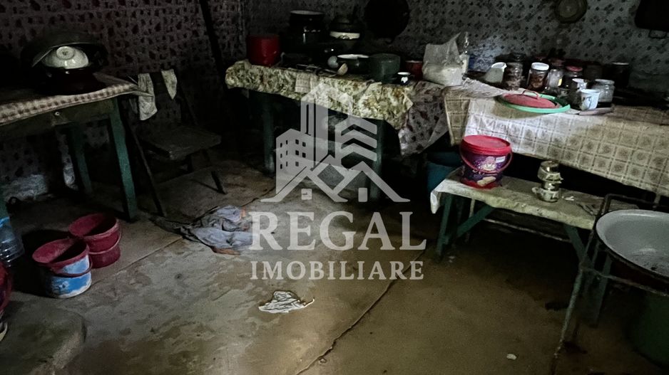 Două case cu teren de 36.291 mp, în Dealul Mic - Poză 8