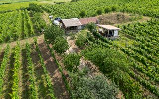 Vie Tradițională „Halta Lupilor” - Poză 46