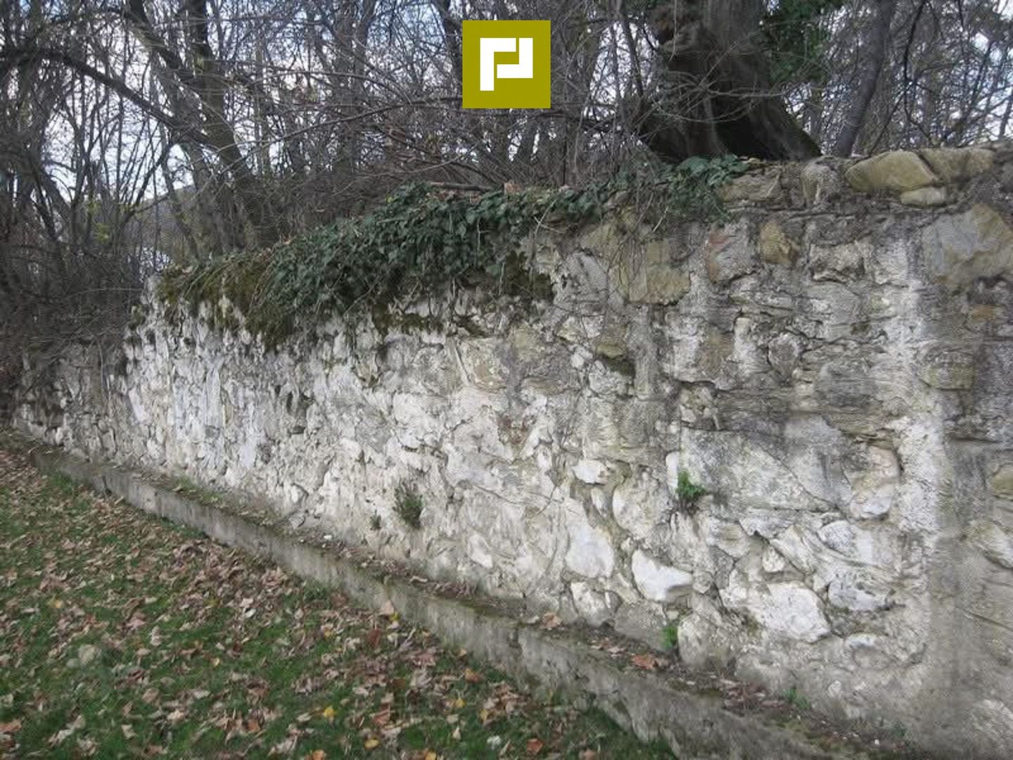 Conac nobiliar de secol XIX cu 8 camere în Maciova - Poză 28