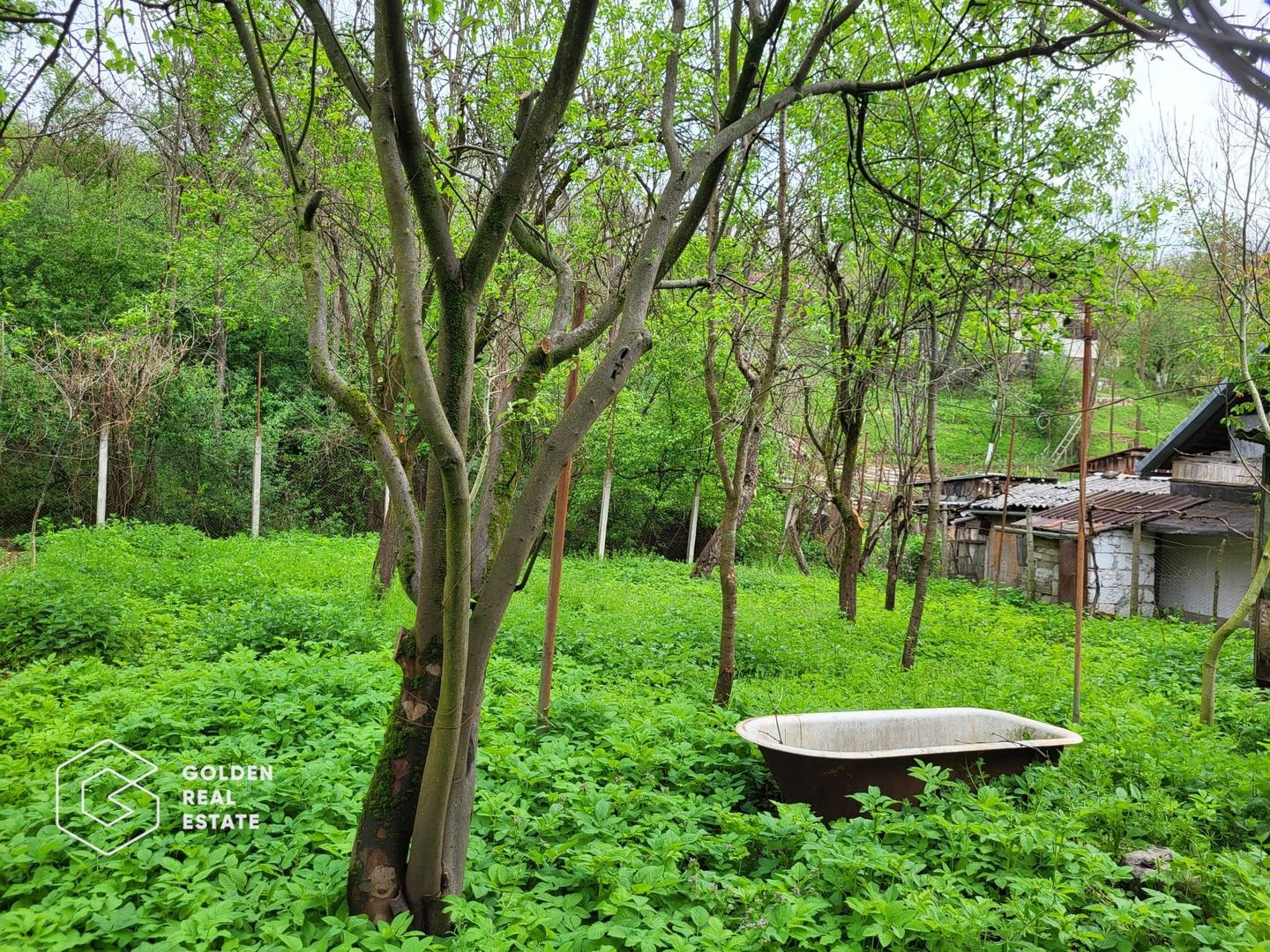 Casa de vacanta Baratca, comuna Paulis - Poză 10