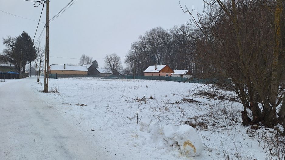 Teren 1000mp intravilan la liziera padurii, acces din drum asfaltat. - Poză 5