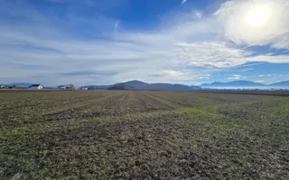Teren 30.000 mp  – PUZ aprobat pentru ansamblu locuințe - Poză 12