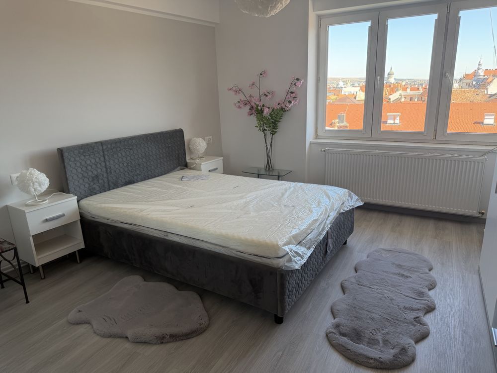 Apartament cu 1 camera | Ultracentral UMF - Poză 1