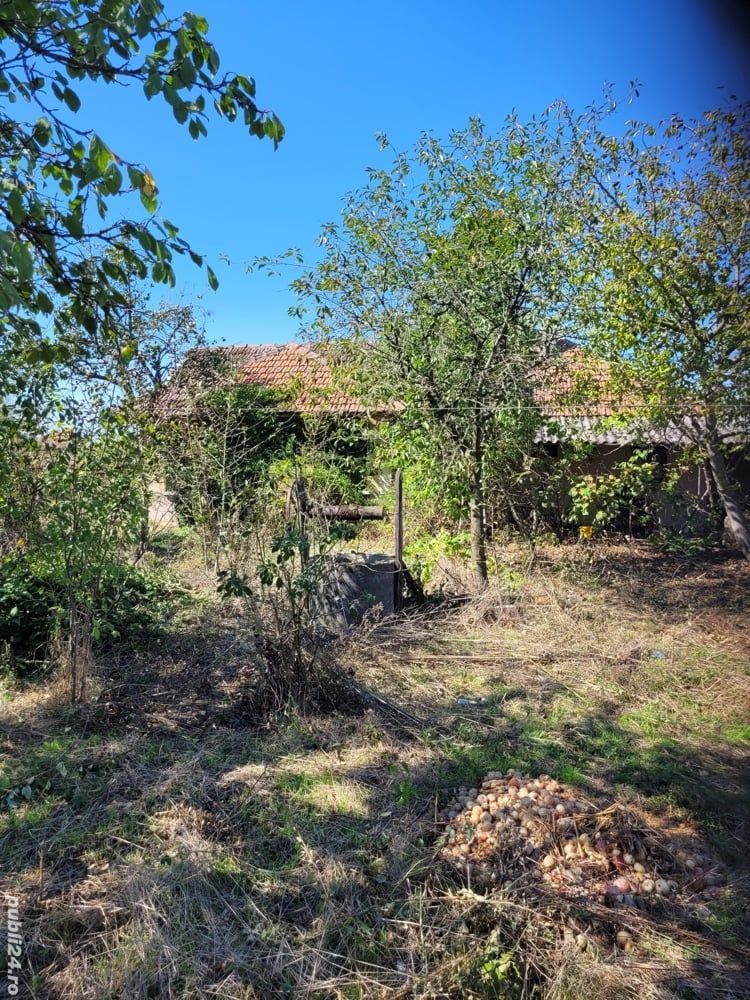 BRASADAS vinde casa in Moftinul Mare. - Poză 8