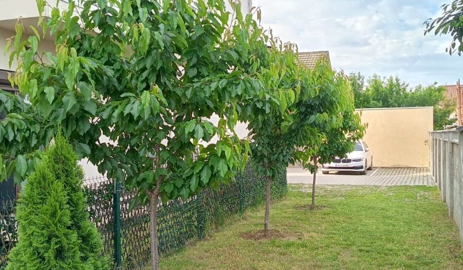 Braytim-Giroc | 2 camere | Liniște | Mobilat-Utilat | Parcare | - Poză 22