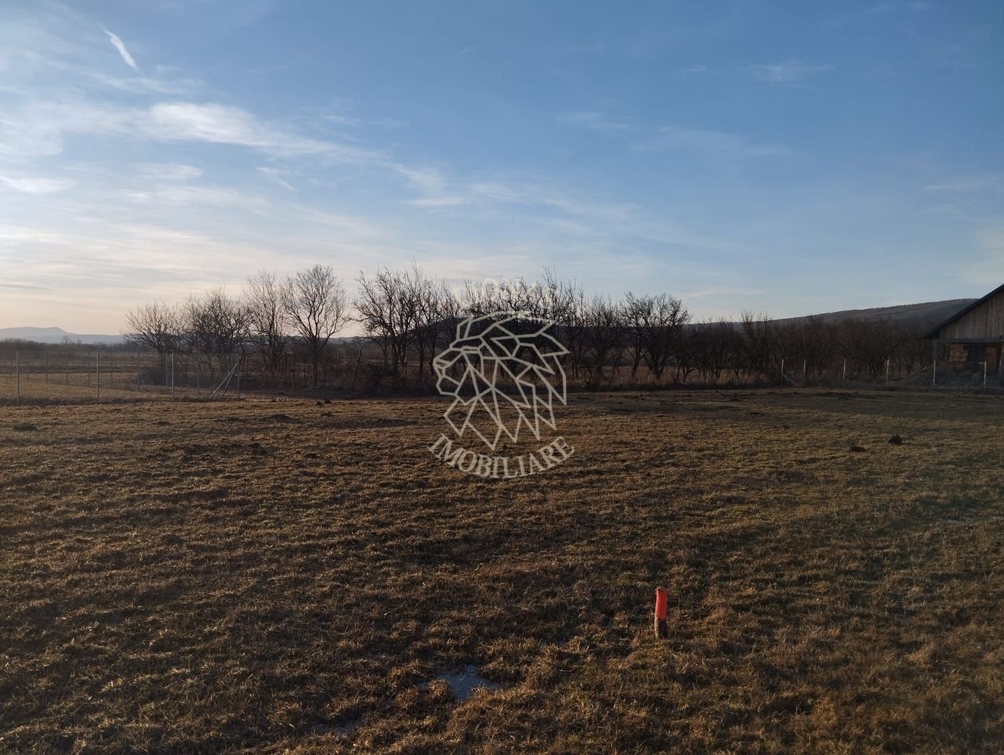 Teren 3500 mp-livada-Rusu Bargaului 13km de Bistrita - Poză 2