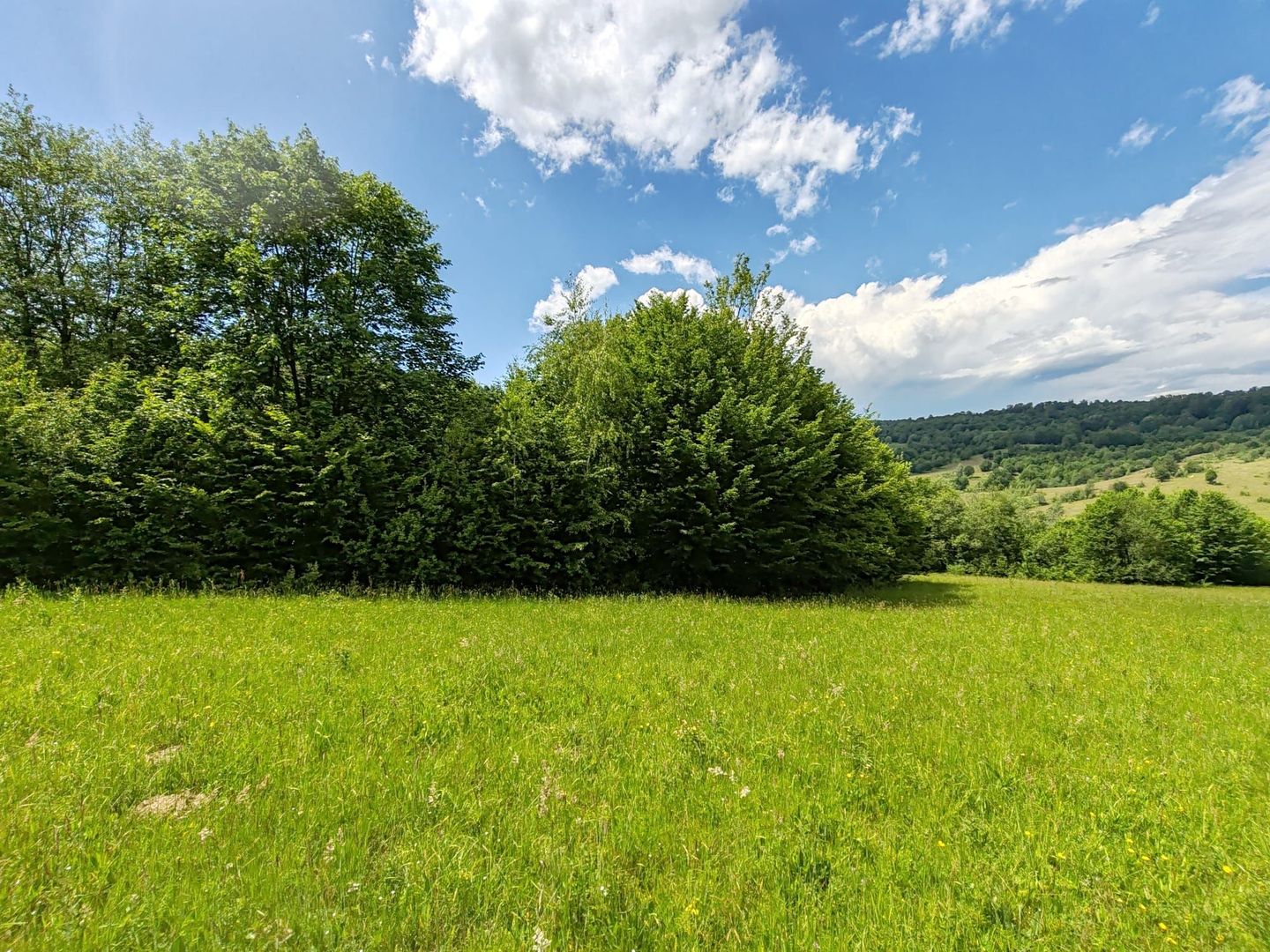 2,6 HA TEREN EXTRAVILAN FANEATA, in Muntii Apuseni, Negreni, jud. Cluj - Poză 2