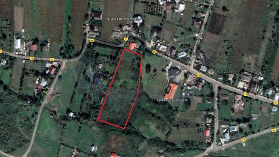 Teren intravilan de vanzare in Miroslava, sat Proselnici – 7.000 mp - Poză 8