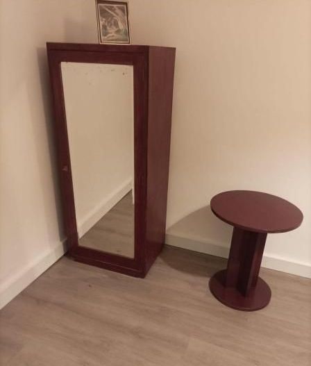 GARSONIERA RENOVATA ZONA FLOREASCA - Poză 2