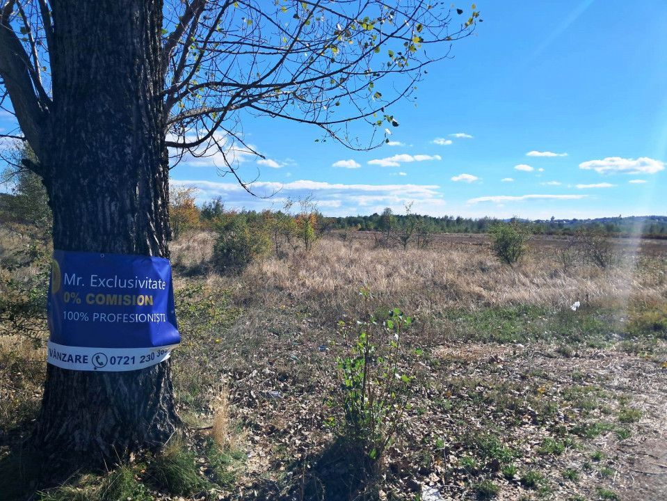 TEREN INTRAVILAN ȘI EXTRAVILAN BAIA DE FIER - Poză 2
