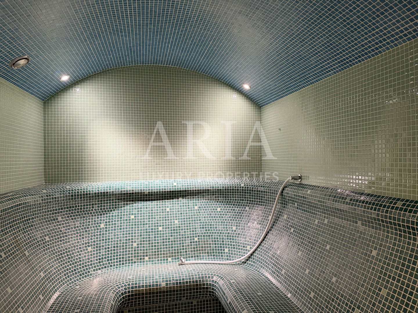 SNAGOV VILA | 36m DESCHIDERE LA LAC | PONTON 250mp | JACUZZI | SPA | BOWLING - Poză 20